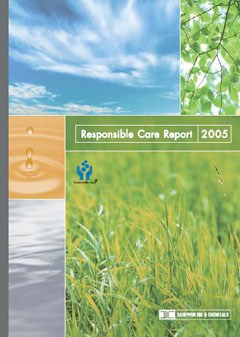 DIC Report 2005