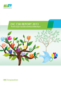DIC Report 2013