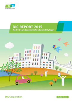 DIC Report 2015 (Summary Version)