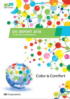 DIC Report 2018 (Summary Version)