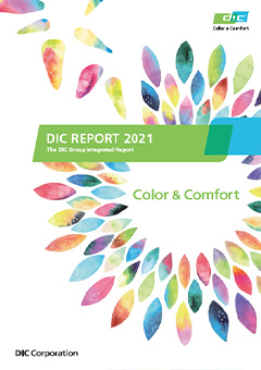 DIC Report 2021 (Summary Version)