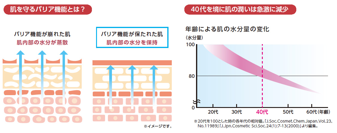 肌を守るバリア機能とは？/40代を境に肌の潤いは急激に減少