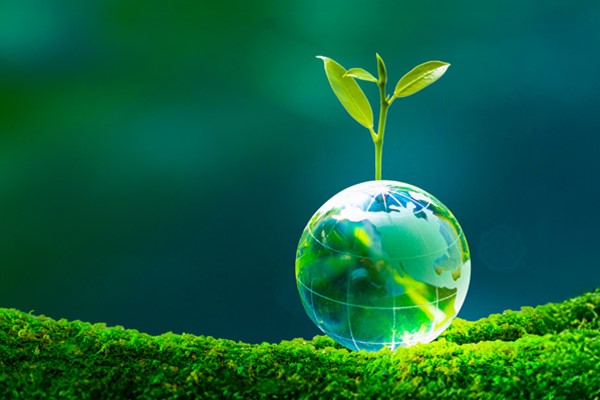 The special Chinacoat page link