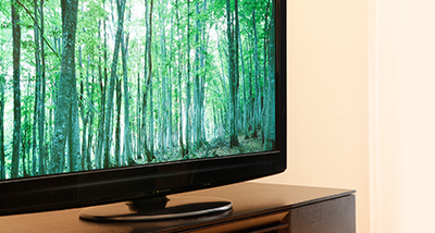 Promoting Environment-Friendly Products
