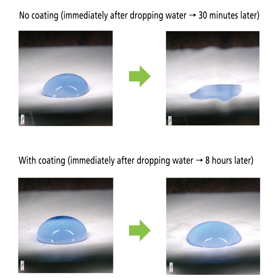 Coating that imparts water resistance and oil resistance to paper