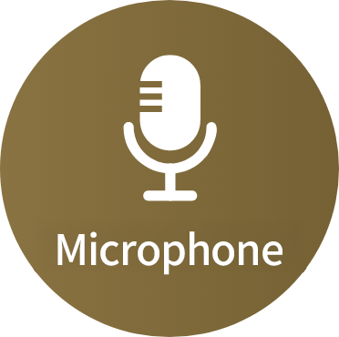 Microphone
