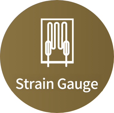 Strain Gauge