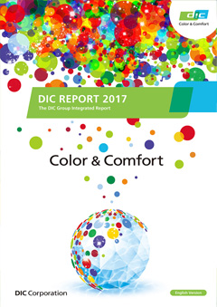 DIC Report 2017 (Summary Version)