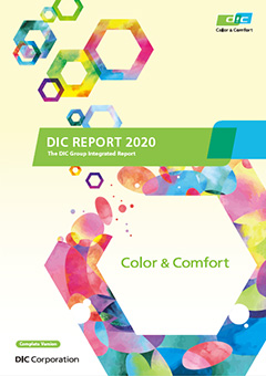 DIC Report 2020 (Complete Version)