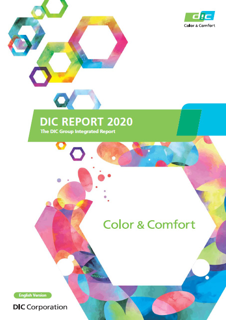 DIC Report 2020 (Summary Version)