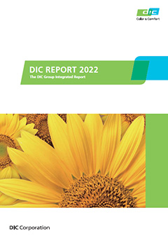 DIC Report 2022 (Summary Version)