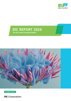 DIC Report 2024 (Complete Version)