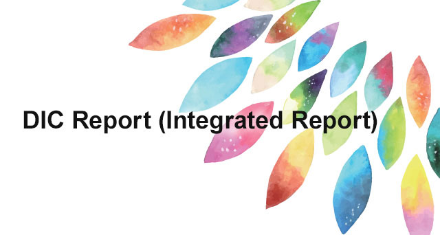 DIC Report