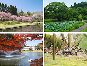 The forest and gardens of the site occupied by the Kawamura Memorial DIC Museum of Art are always alive with seasonal flowers and foliage.