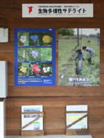 Biodiversity satellite