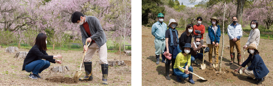 Museum staff take part in planting seedlings.