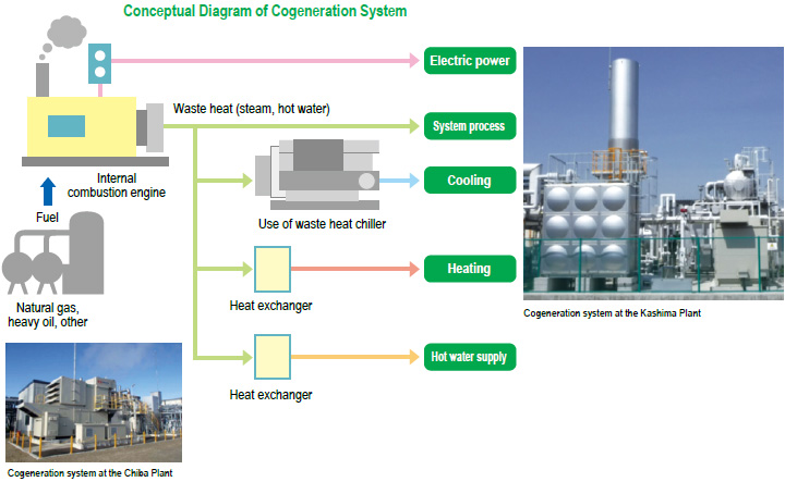 Conceptual Diagram of Cogenerations System