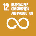 12 Responsible consumption, production