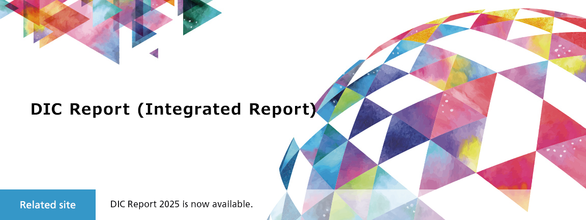DIC Report (Integrated Report)