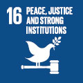 16 Peace, Justice and Strong Institutions