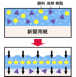 新聞用インキの浸透イメージ 短時間で大量部数を印刷するため、新聞用インキには早く紙の繊維に入る流動性と速乾性が要求される