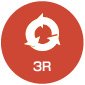 3r