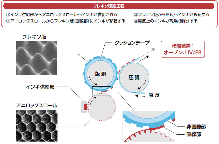 フレキソ印刷工程