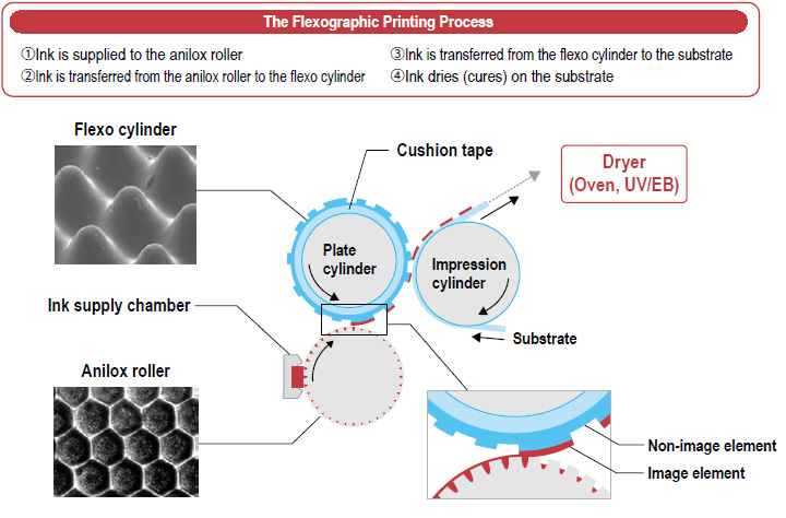 forpligtelse skinke butik Water-Based Flexo Ink for High-Resolution Printing on Flexible Packaging  (Marine Flex LM-R) | Sustainability | DIC Corporation