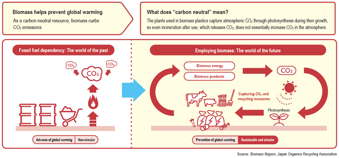 Biomass helps prevent global warming