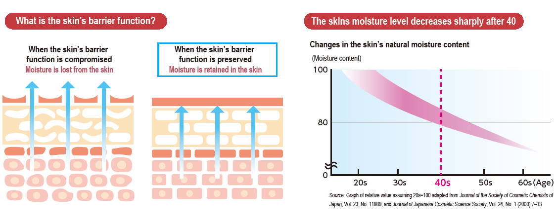 What is the skin’s barrier function?/The skins moisture level decreases sharply after 40