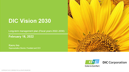Long-Term Management Plan: DIC Vision 2030