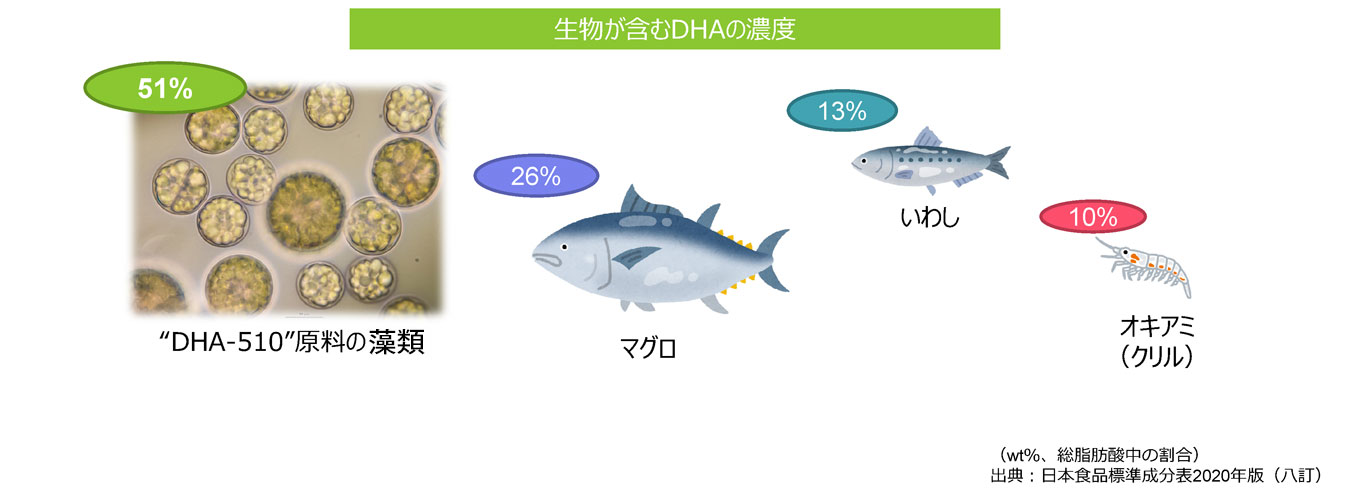 生物が含むDHAの濃度