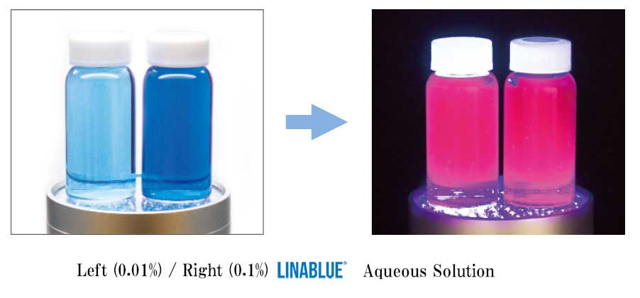 Fluorescent appearance under black light