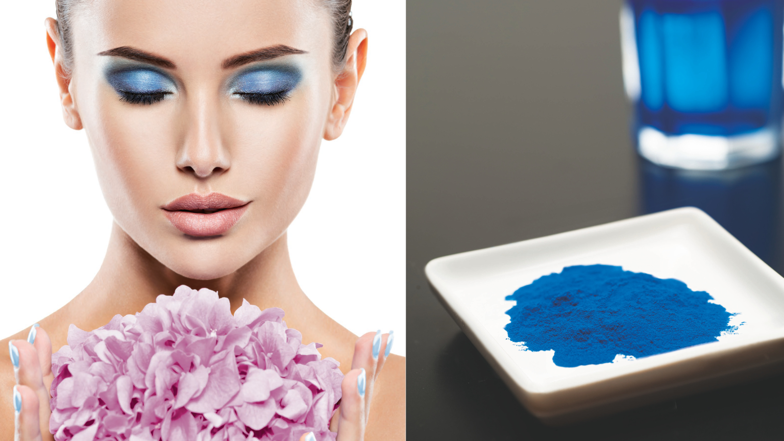 化粧品用顔料 | 事業・製品 | DIC株式会社