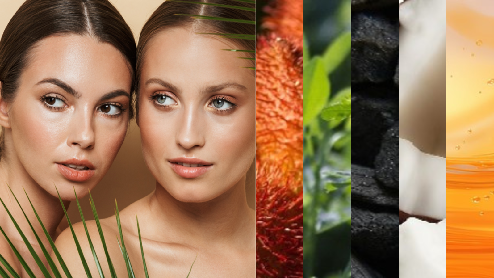 SunPURO Naturals バナー画像