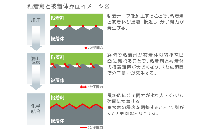 粘着財／被着体界面イメージ図