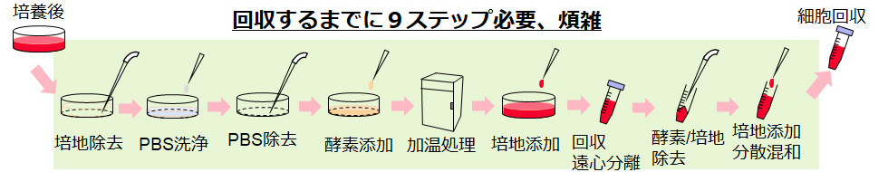 温度応答性細胞培養容器 事業 製品 Dic株式会社