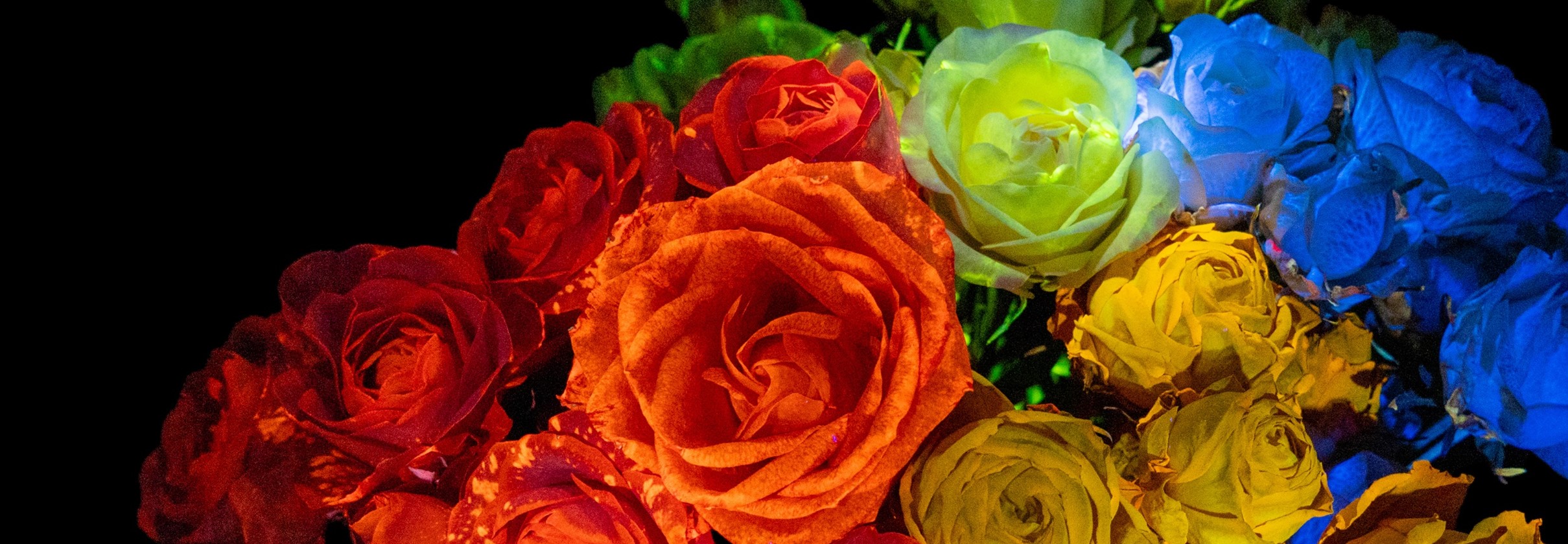 生花発光システム