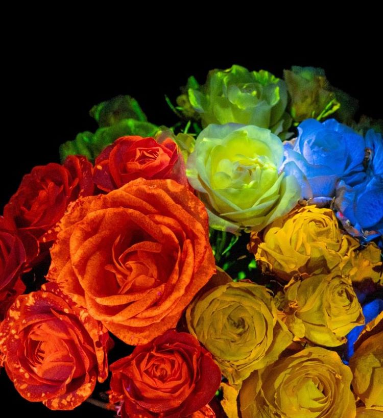 生花発光システム