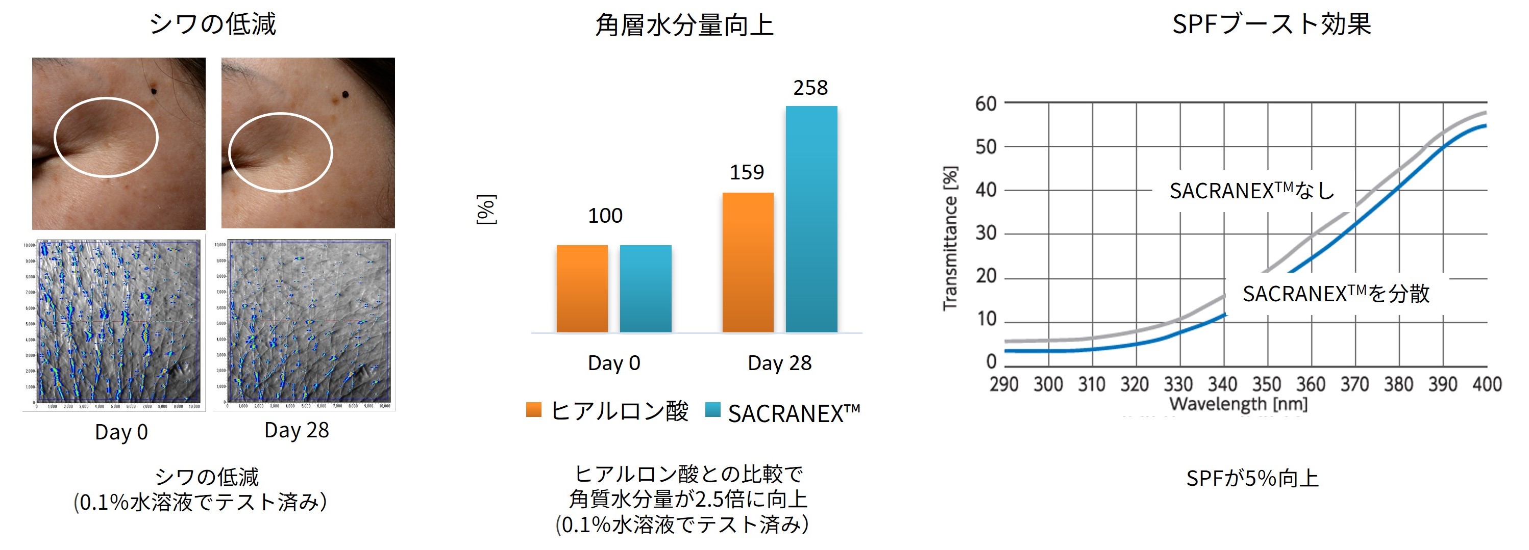 シワの低減・角層水分量向上・SPFブースト効果