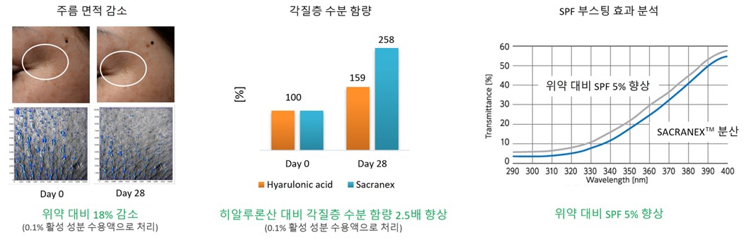 Wrinkle Area Reduction - Stratum Corneum Moisture Content - SPF analysis