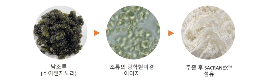 SACRANEX
