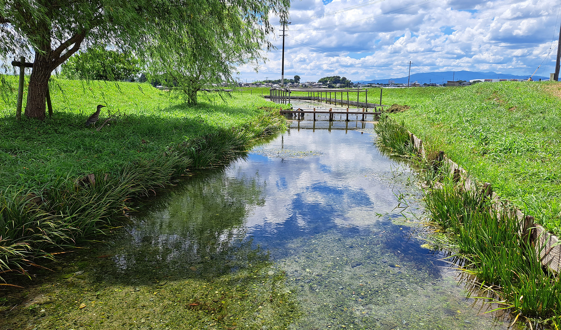 九州阿蘇地域の伏流水