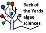 Back of the Yards Algae Sciences Inc.
