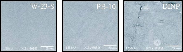 SEM photo of the fracture cross section of molded products