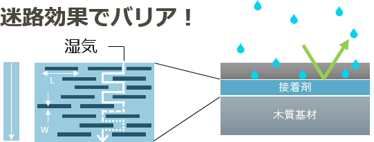 もう防湿フィルムなんて要らない…ソリューション