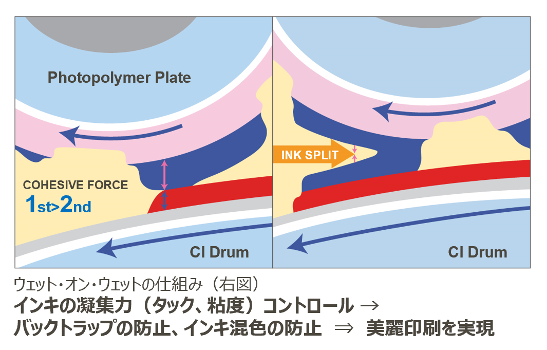 パッケージの減層化・軽量化技術」についてご紹介いたします。
