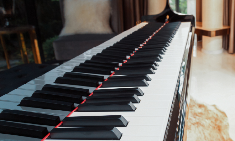 バイオマスコーティングの高機能化（耐久性・外観向上）ソリューション