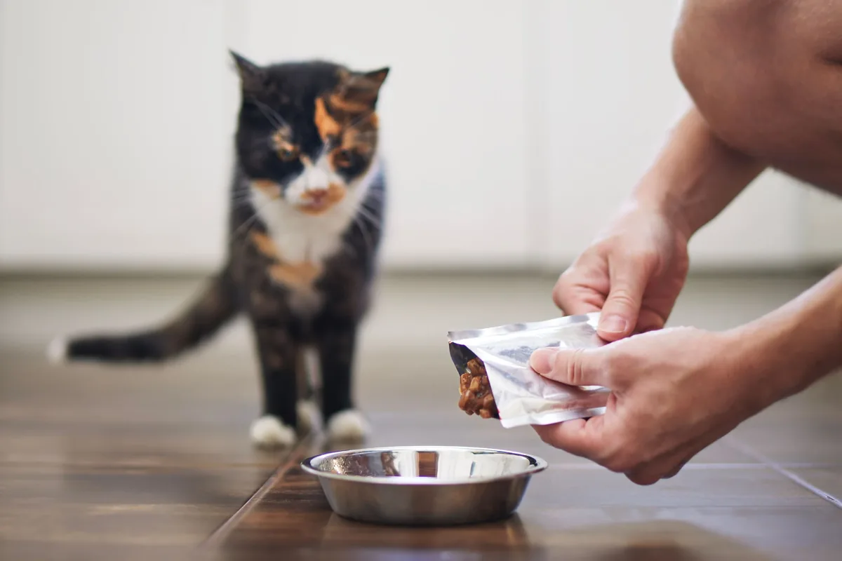 Cat beside a person opening a pet food pouch