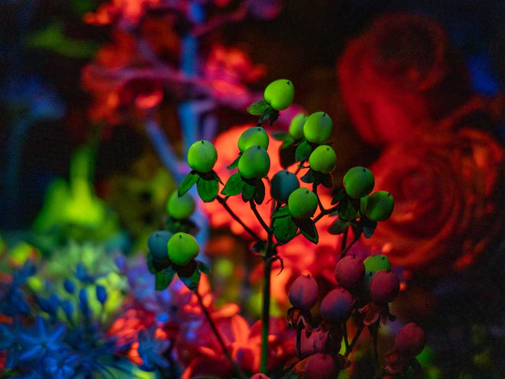 暗闇の中でネオンのように発光する花々の作品
